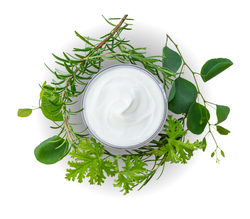4 Nutriestetica Global